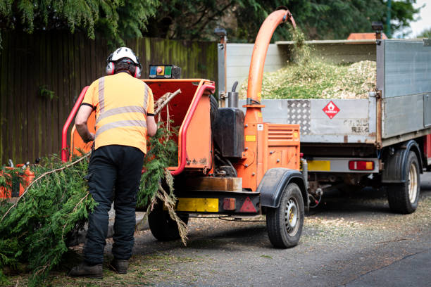 Best Lawn Disease Treatment  in Mount Union, PA